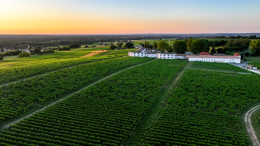 Château La Tour Blanche